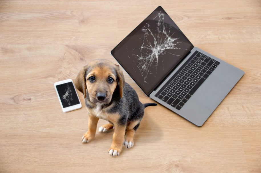 It support technician helping with a windows computer